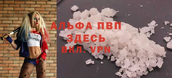 твердый Богданович