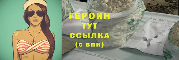 гидра Богородск