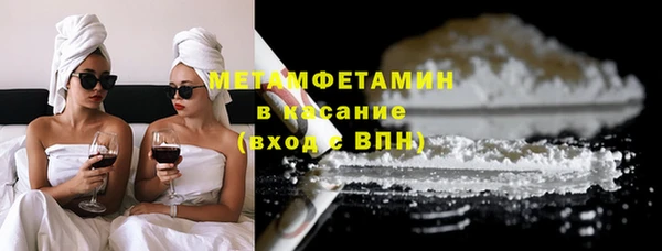гидра Богородск