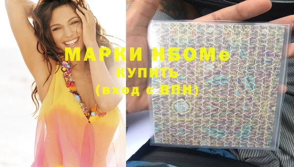 гидра Богородск