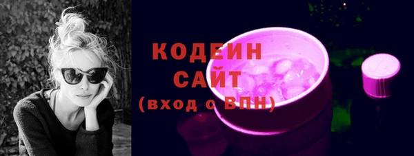 гидра Богородск