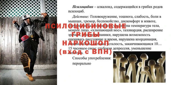 индика Киренск