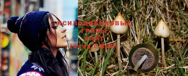 твердый Богданович