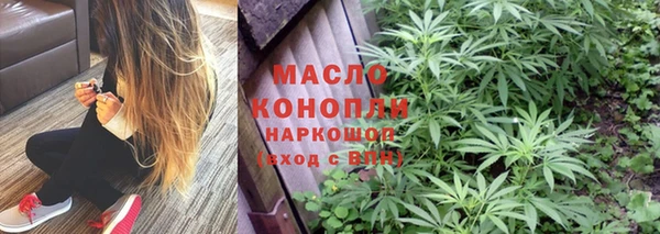 гидра Богородск