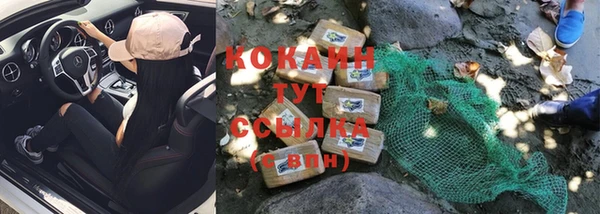 гидра Богородск