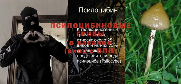 твердый Богданович