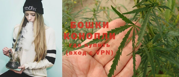твердый Богданович
