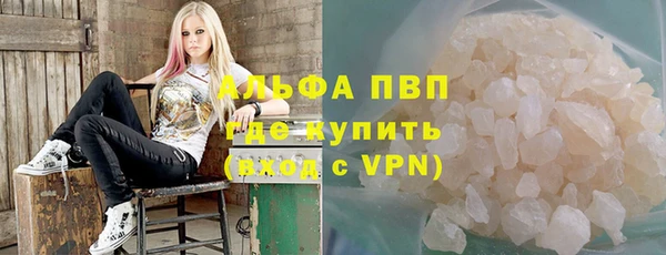 твердый Богданович