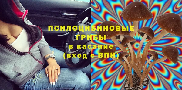 твердый Богданович