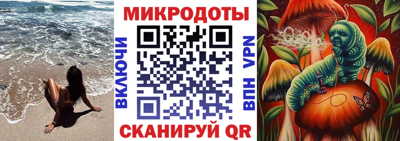 купить наркоту Демидов Псилоцибиновые грибы Cubensis